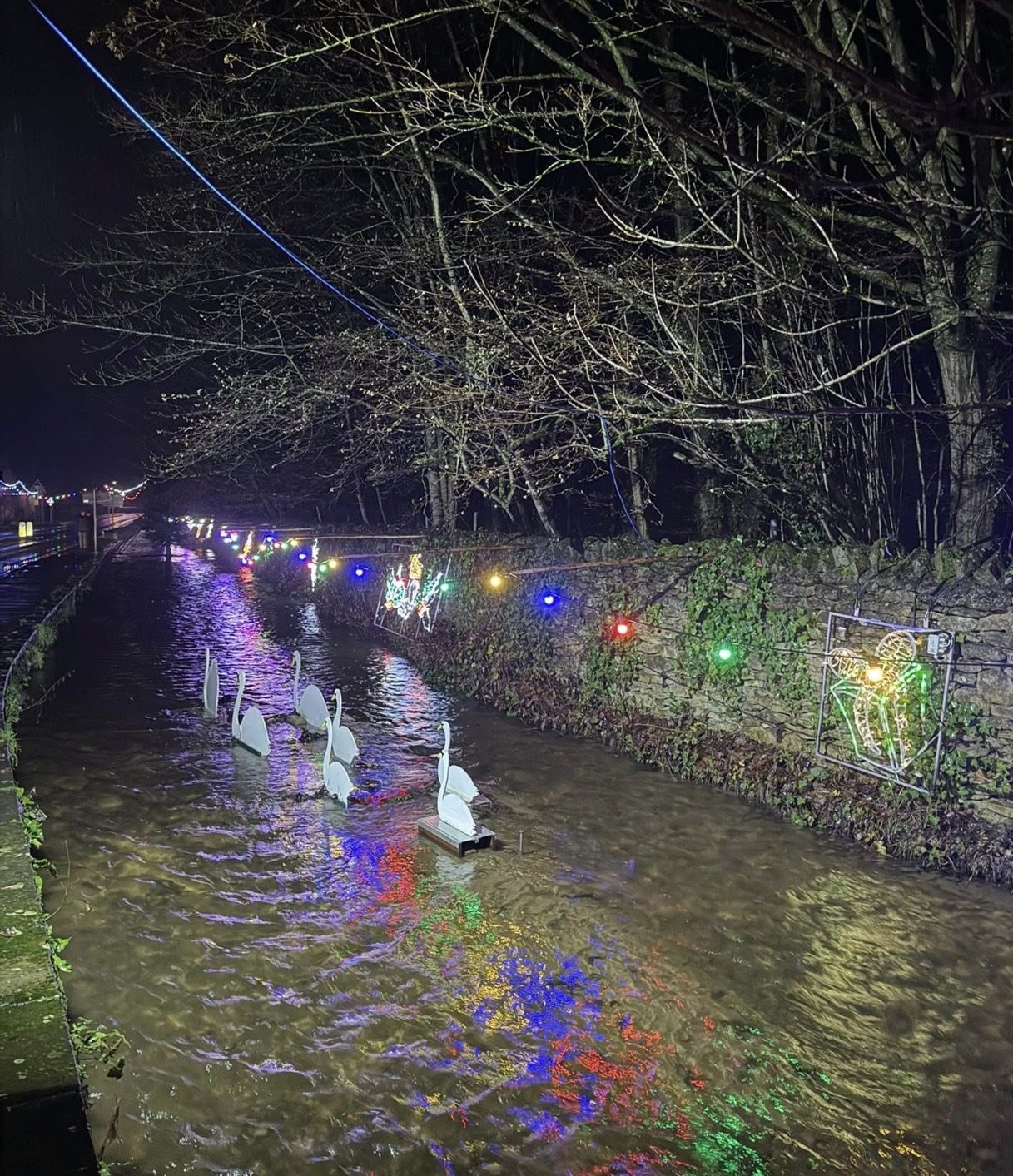 White swan decorations sit in Thornton Beck in Thornton-le-Dale at night beneath coloured Christmas lights and illuminated figures along the stone wall.