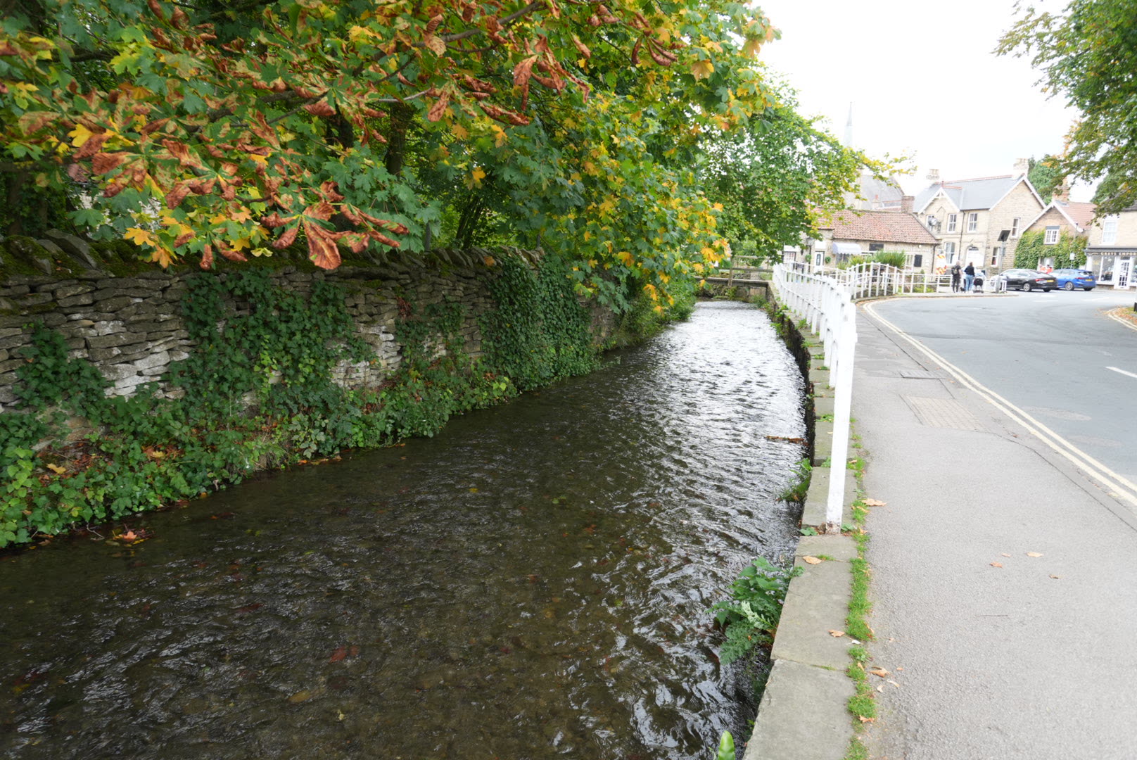 Thornton Beck running clear beside the pavement below an ivy-covered drystone wall, with white railings and the village ahead