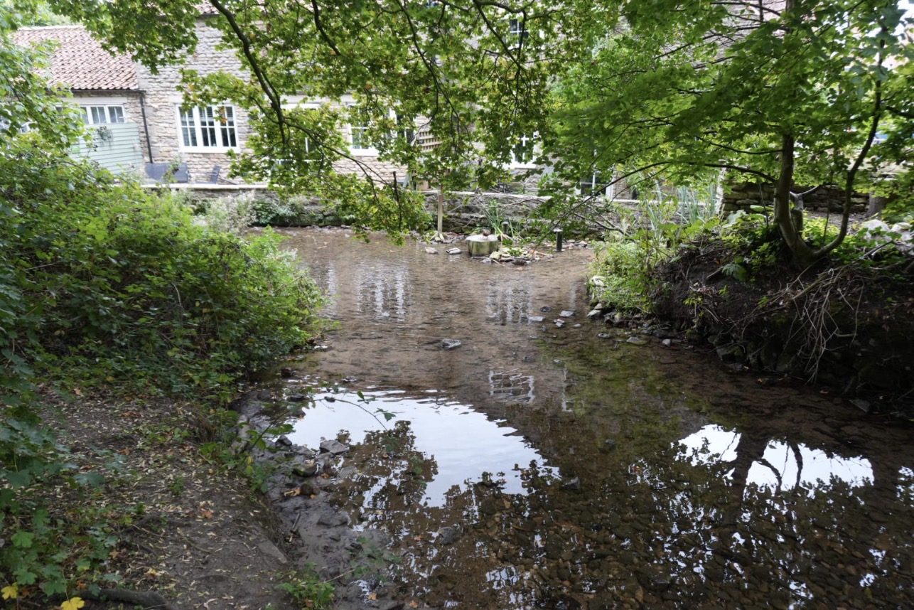 A shallow, still stretch of the beck reflecting overhanging trees, with cottages behind