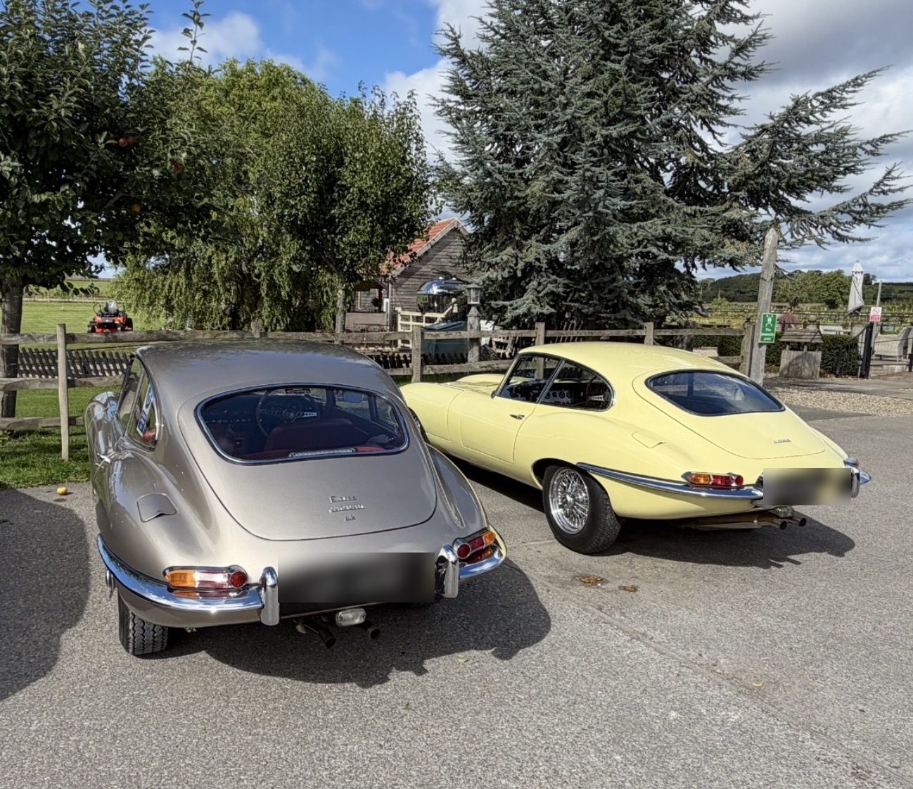 Two Jaguar E-Type coupes from behind, one silver and one primrose yellow, parked by a fence