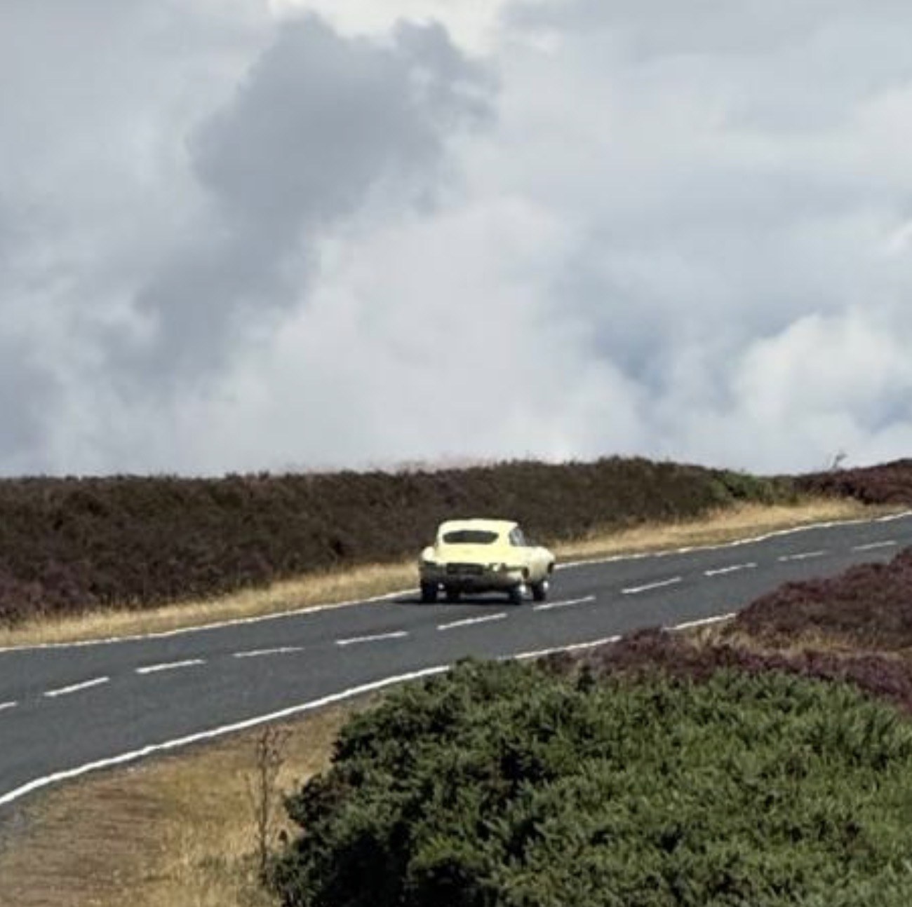 A pale yellow Jaguar E-Type seen from behind travelling along a moorland road bordered by heather beneath a cloudy sky.