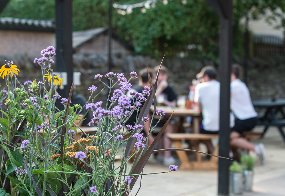 Purple verbena and yellow rudbeckia flowers in the walled beer garden at The Buck, with people at picnic tables behind