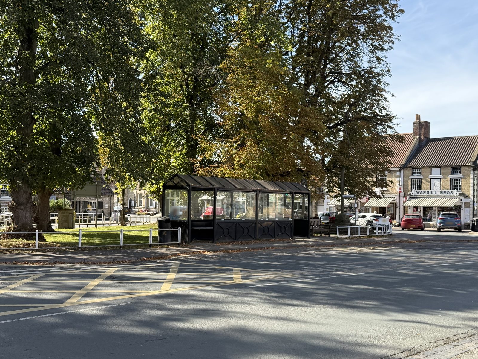 Large trees on Thornton-le-Dale green in autumn, with the bus shelter and the Wardill Bros store beyond